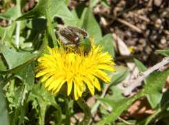Облака, переменчивый ветер и +16: погода на вторник 18 апреля в Камышине
