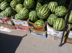 В Камышине на рынках подешевели арбузы, капуста, картошка и кукуруза
