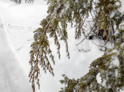 Целого состояния лишилась пенсионерка из Палласовки под давлением мошенников