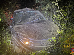 На автодороге между Котово и Камышином женщина-водитель за рулем «Гранты» слетела с трассы, «забурилась» в посадку и погибла 