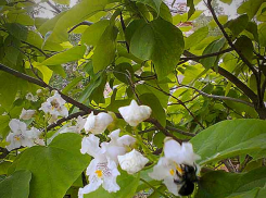Девять дополнительных выходных ждут камышан этой весной