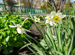 Замечательный теплый день обещает камышанам природа сегодня, 17 апреля, - перед субботним космическим штормом