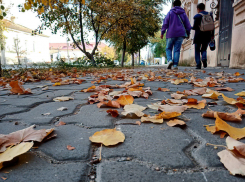 Надо новые машины «Благоустройства» выпускать подметать листья, - камышанин