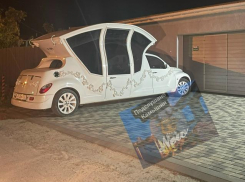 Почему камышане раскритиковали «карету» на колесах, появившуюся в городе