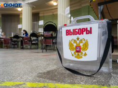 В полиции рассказали, что на выборах 15 марта задержали даму с бутылкой с зажигательной смесью и пенсионерку с дымовой шашкой (ВИДЕО)
