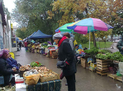 В Волгоградской области, несмотря на непогоду, резко снизилась заболеваемость COVID-19