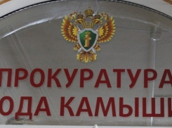 В Камышине состоится личный прием граждан руководителем СУ СКР и городским прокурором