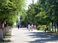 Члены камышинских УИКов будут сдавать экзамен, знают ли они, как проводить выборы, и как общаться с избирателями