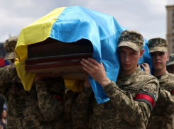 Новости СВО: Украина потеряла рекордное число солдат за одни сутки, - «Блокнот - Россия»