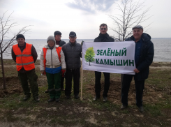 В Камышине чернобыльцы посадили аллею тополей и лип в шестом микрорайоне в память о трагических событиях