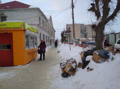 На центральной улице Камышина появилась «демонстративная» свалка мусора