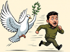 Мир на Украине наступит к апрелю: 90 дней все решат, заявил американский постпред при НАТО, - «Блокнот - Россия»