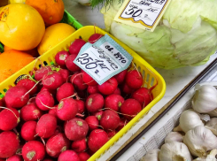 В Камышине подешевел важный окрошечный ингредиент