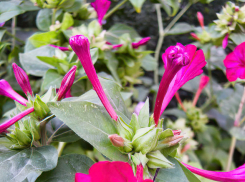 Солнечно и свежо: погодная повестка для Камышина на 17 сентября