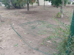 В Камышине чиновники каждый день пишут, что произошло в мире, - лучше пишите свой отчёт о работе за день! - камышанка