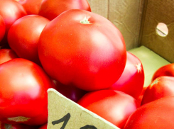 В Камышине местные элитные помидоры можно купить по 100 рублей