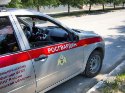 В Камышине росгвардейцы «поймали» похитителей банковской карты и мобильника