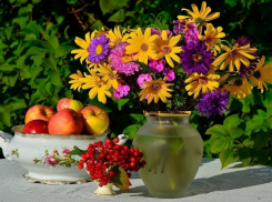 Сегодня в городе правит бал настоящее камышинское лето, наслаждайтесь!