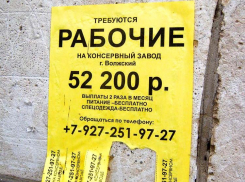 Почти половина соискателей в Волгоградской области теряют интерес к вакансии, если компания не отвечает им в течение трех дней
