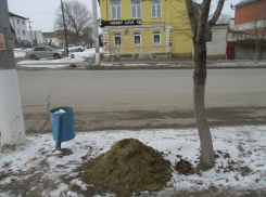 Деревья на улице Пролетарской в Камышине рискуют получить дозу отравления при весеннем паводке: их «удобрили» песко-соляными кучами