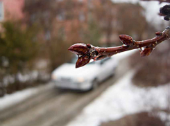 Воскресенье в Камышине окажется пасмурным и дождливым