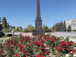 В Камышине благоухают сентябрьские розы