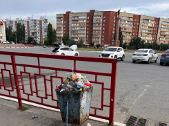 Урны Камышина забиты через край, сколько нам еще ждать вывоза мусора?