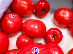 Овощи, а особенно помидоры, становятся «золотыми» для камышан по весне