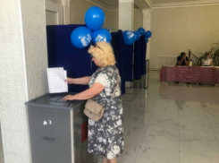 Спящие по выходным камышинские административные сайты проснулись, чтобы доложить: предварительное голосование в партии власти идет «зашибись!»