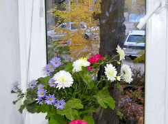 После ночного дождя камышан ждет свежий и солнечный вторник