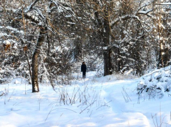 Экстренное предупреждение из-за волны арктического холода объявлено в Волгоградской области