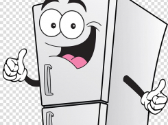 Холодильник «заманил» камышанку на крючок мошенников