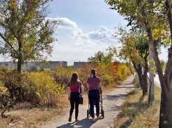 А до тротуара у парка Текстильщиков дело дойдет? - камышанка