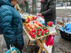 Названы лидеры мартовского подорожания продуктов в Волгоградской области
