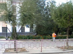 Токари, врачи, повара и дворники вошли ТОП-15 самых дефицитных специальностей в Волгоградской области