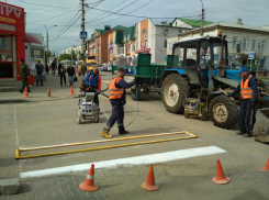 В Камышине коммунальщики выполняют покраску пешеходных переходов у центрального рына
