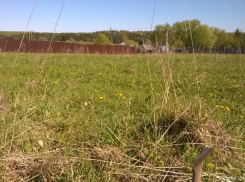 Власти Камышина перестали отказывать многодетным семьям в выделении участков под строительство жилья