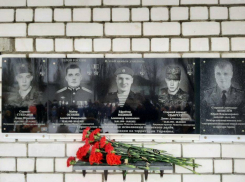 Вечная память вам, ребята: в Камышинском районе на здании одной сельской школы открыты 5 мемориальных плит бойцам СВО, в том числе Герою России