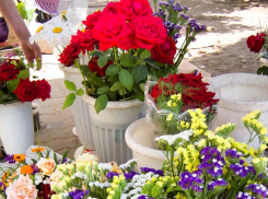 Солнце «припечет» Камышин до +33-х во второй день августа