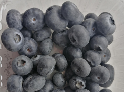 В камышинских магазинах появилась голубика из Перу по 2000 рублей