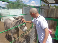 Воспитанники Камышинской  ВК посетили мини-зоопарк