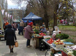 Какие противопоказания у прививок от коронавируса: сравниваем три вакцины, - портал V1.RU