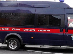 Шок: в Волгоградской области 18-летнюю домработницу хозяин убил за плохой порядок, тело в ковре утопил в реке (ВИДЕО)