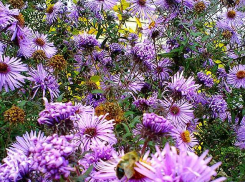 Суббота в Камышине ожидается облачной и теплой, но уже в воскресенье - дожди и похолодание