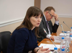 Бывший вице-мэр Камышина Ирина Пешкова передаст в концессию школьные столовые Волгограда, - «Блокнот Волгограда»