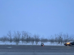 Под Камышином оказался изранен в ДТП 10-летний мальчик