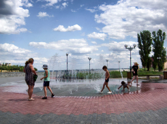 Экстремальную жару в 43 градуса предсказал Волгоградской области глава Гидрометцентра