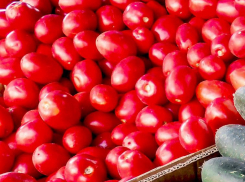 В Волгоградской области взметнулись в цене яйца, помидоры и огурцы 