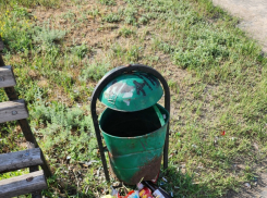 Камышане в соцсетях борются против урны без дна