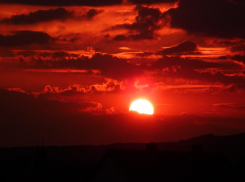 СК: завершено расследование убийства, совершенного в Волгоградской области почти 25 лет назад